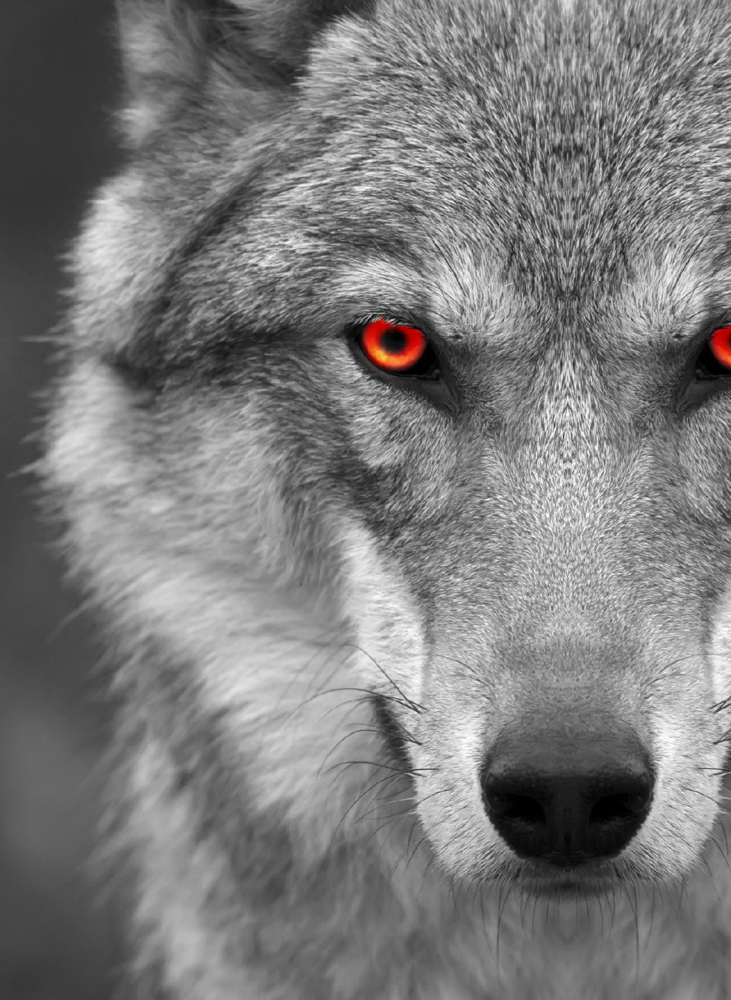 Cybersecurity - Telmac Savage Efficiency